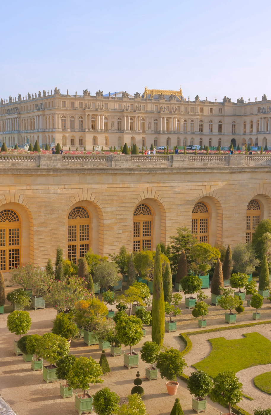 Savonnerie Royale - Château Versailles