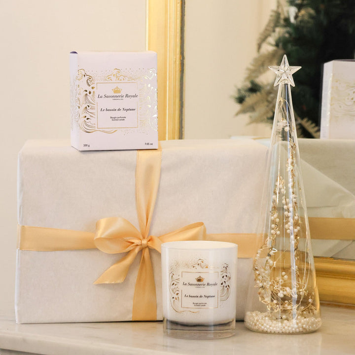 Bougie sublimation Le bassin de Neptune