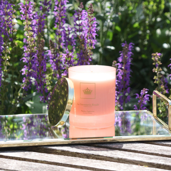Bougie Pétales d'églantine - Collection Colorée