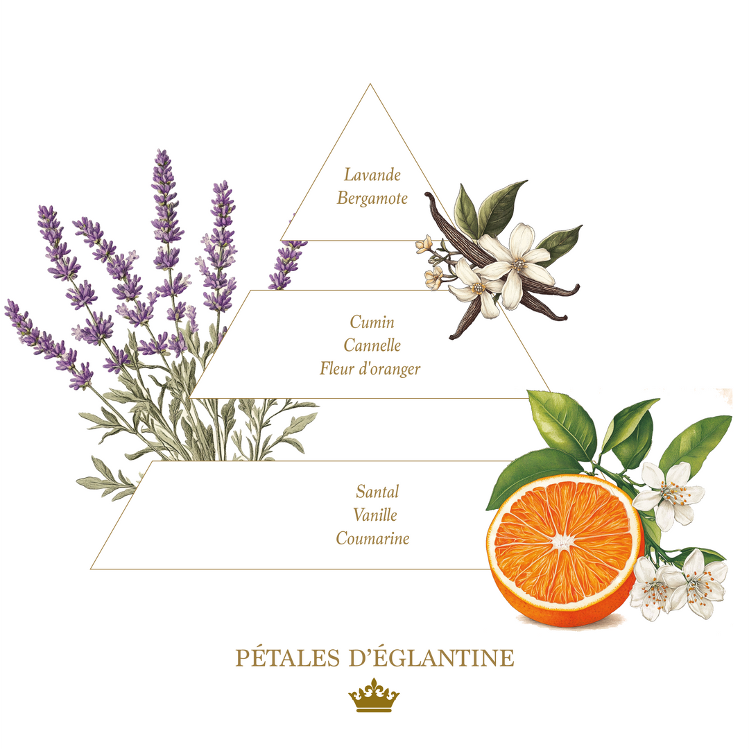 Coffret Royal - Pétales d'églantine