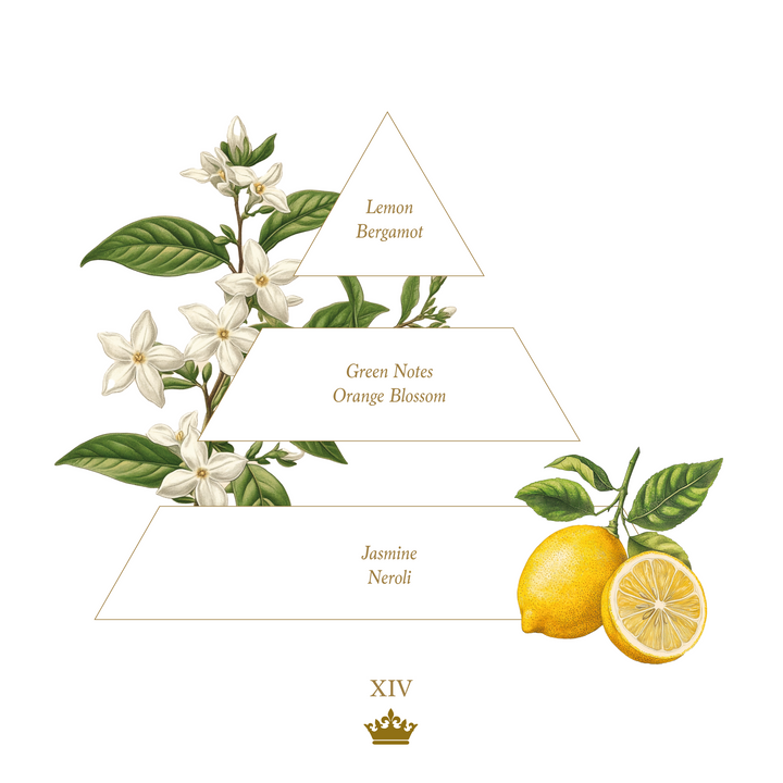 The Perfect Cream XIV