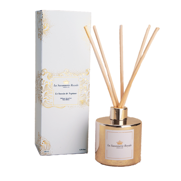 Diffuseur Le bassin de Neptune